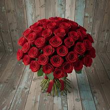 Букет 55 Красных роз Фридом #REPLACE_PRED# Жуковской