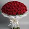 Букет 101 Красная роза Блэк Мэджик в Жуковской