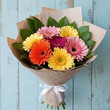 Букет цветов из:  Герберы в Жуковской
