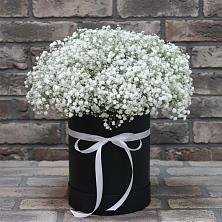 Цветочная композиция из Гипсофила в шляпной коробке в Жуковской