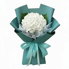 Букет цветов из:  Гортензия #REPLACE_PRED# Жуковской